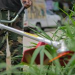 เครื่องตัดหญ้า