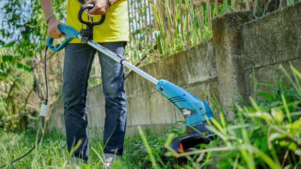 เครื่องตัดหญ้าไฟฟ้า