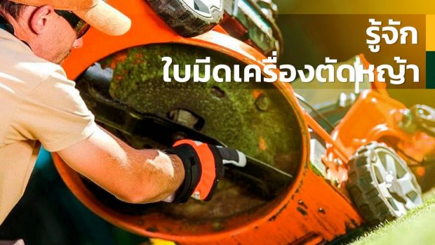 ใบมีดตัดหญ้า