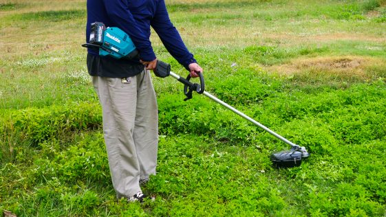 เครื่องตัดหญ้าไร้สาย