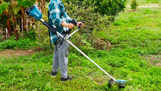 เครื่องตัดหญ้าไร้สาย