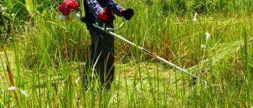 เครื่องตัดหญ้า 2 จังหวะ