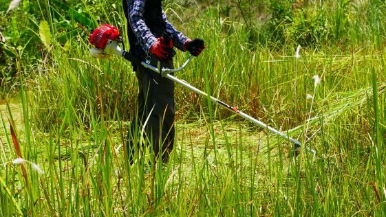 เครื่องตัดหญ้า 2 จังหวะ