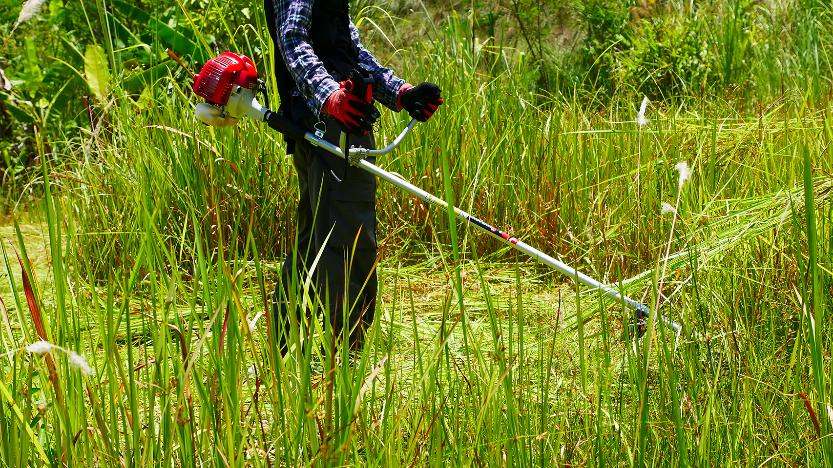 เครื่องตัดหญ้า 2 จังหวะ