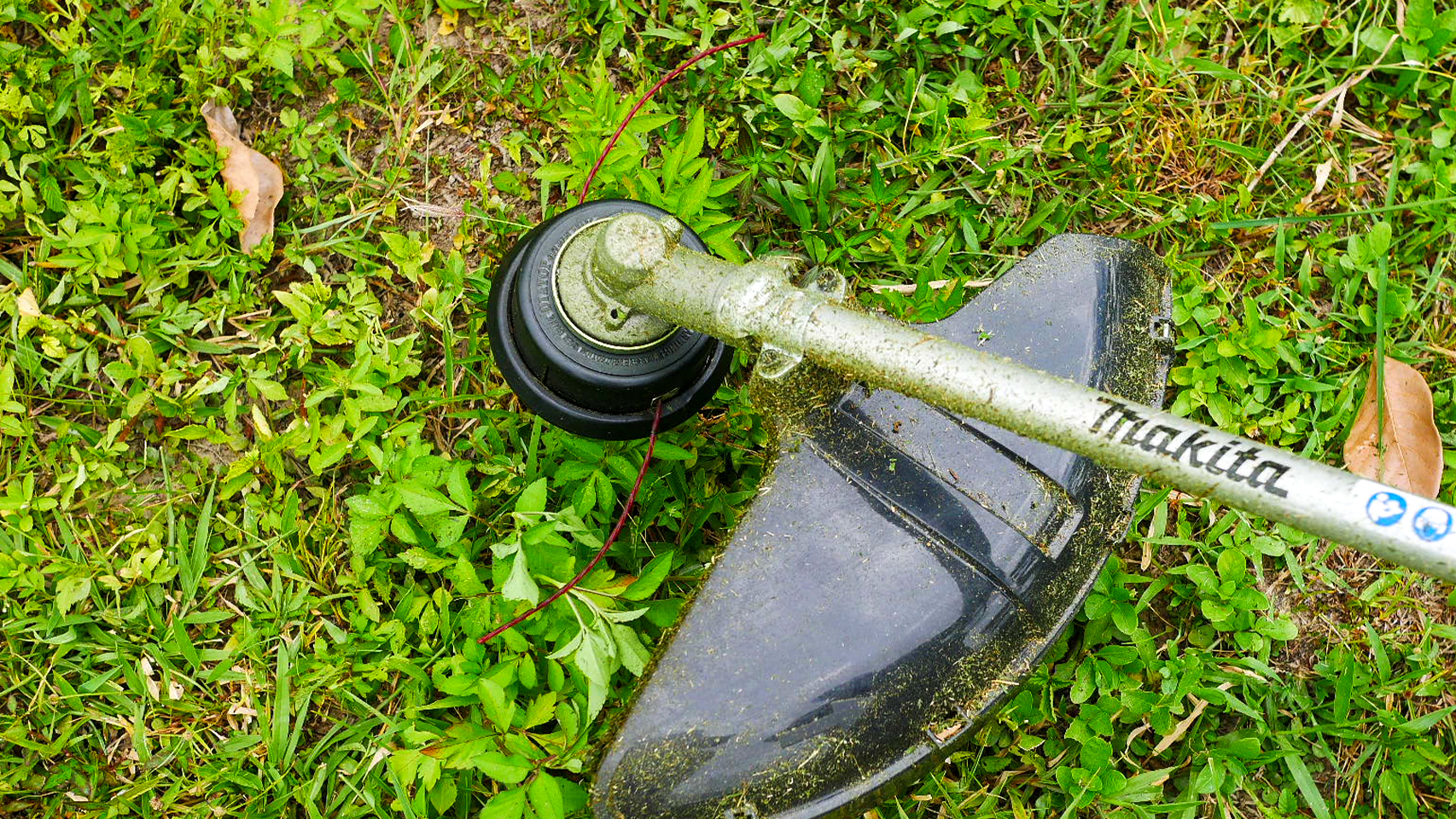 เอ็นตัดหญ้า